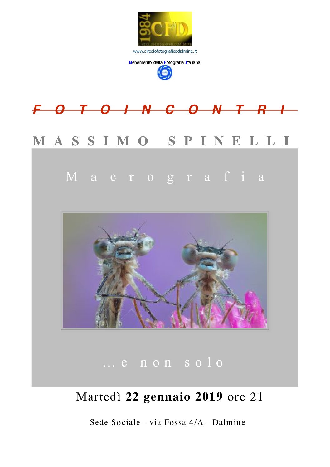 Massimo Spinelli